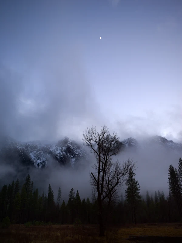 Yosemite Meadow III, photographed in Yosemite, California.