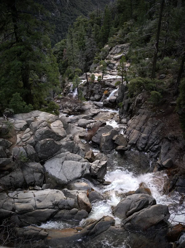 Water cascades through a rocky, forested ravine in Yosemite.