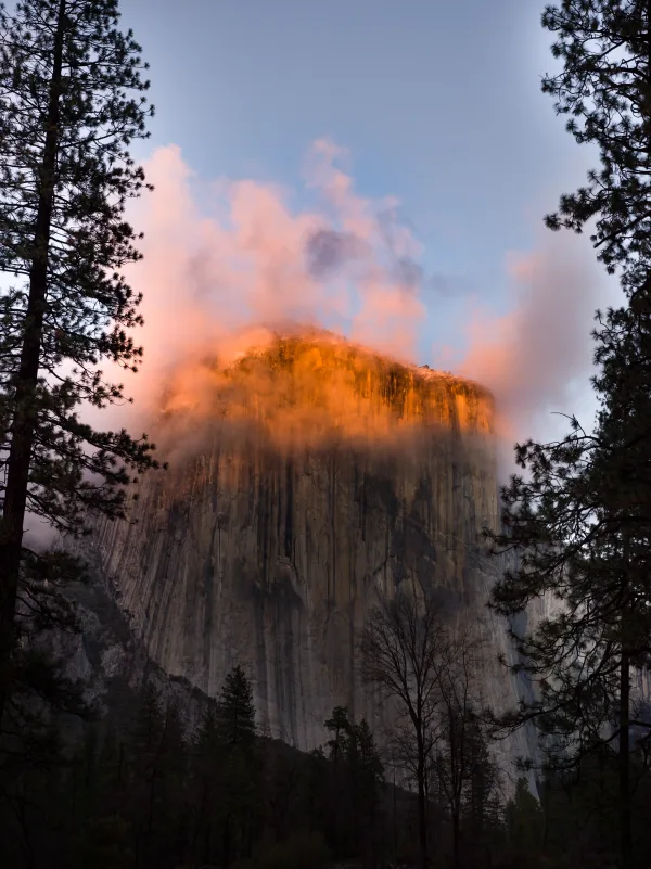 Sunlight turns the summit of El Capitan gold above a shadowed forest.