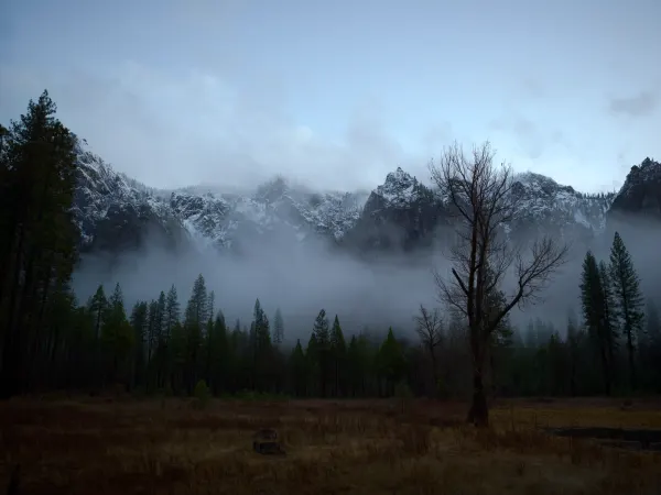 Misty Meadow, photographed in Yosemite, California.
